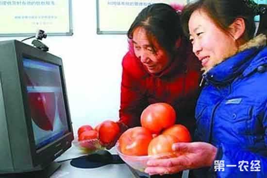 苏宁7个举动推动电商精准扶贫事业长效发展