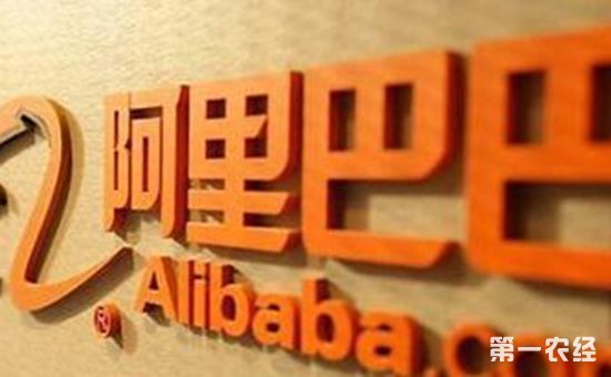 长岭县与阿里巴巴正式签约 村淘项目成崭新名片