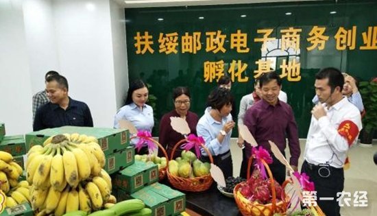 农村电商渐成广西精准扶贫“利器”